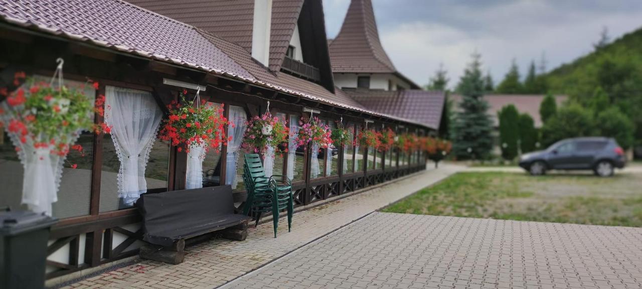 Pensiunea Steaua Nordului Vanatori  Exterior foto