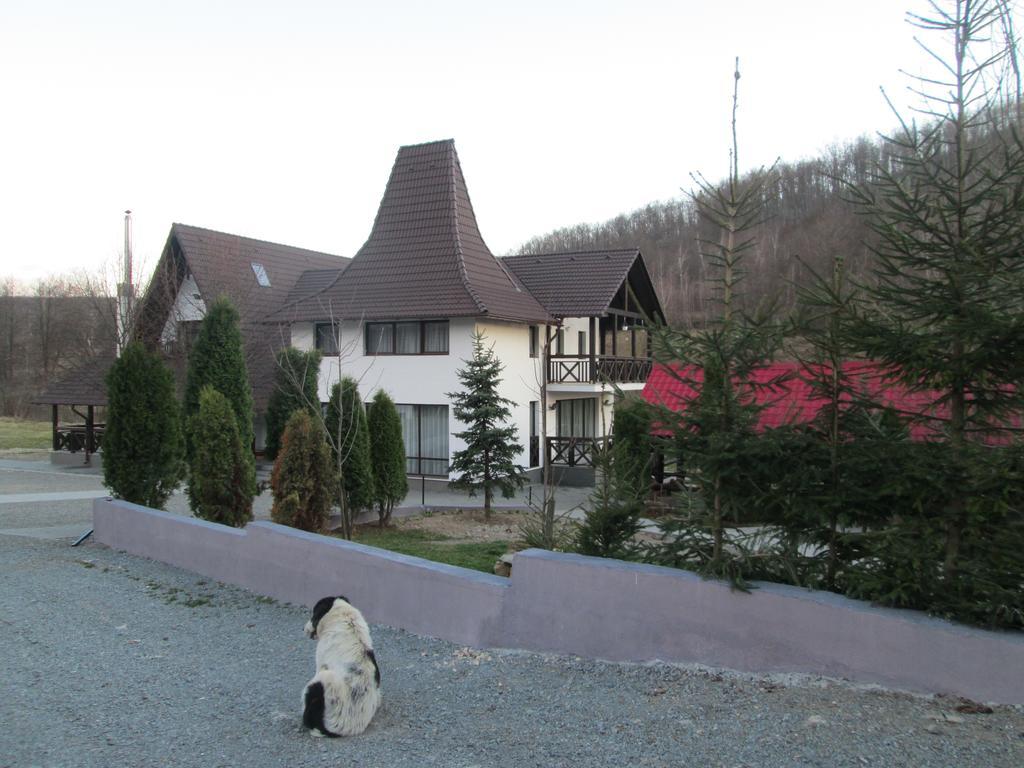 Pensiunea Steaua Nordului Vanatori  Exterior foto