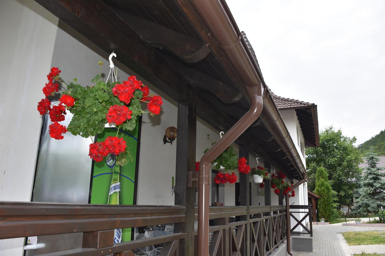 Pensiunea Steaua Nordului Vanatori  Exterior foto