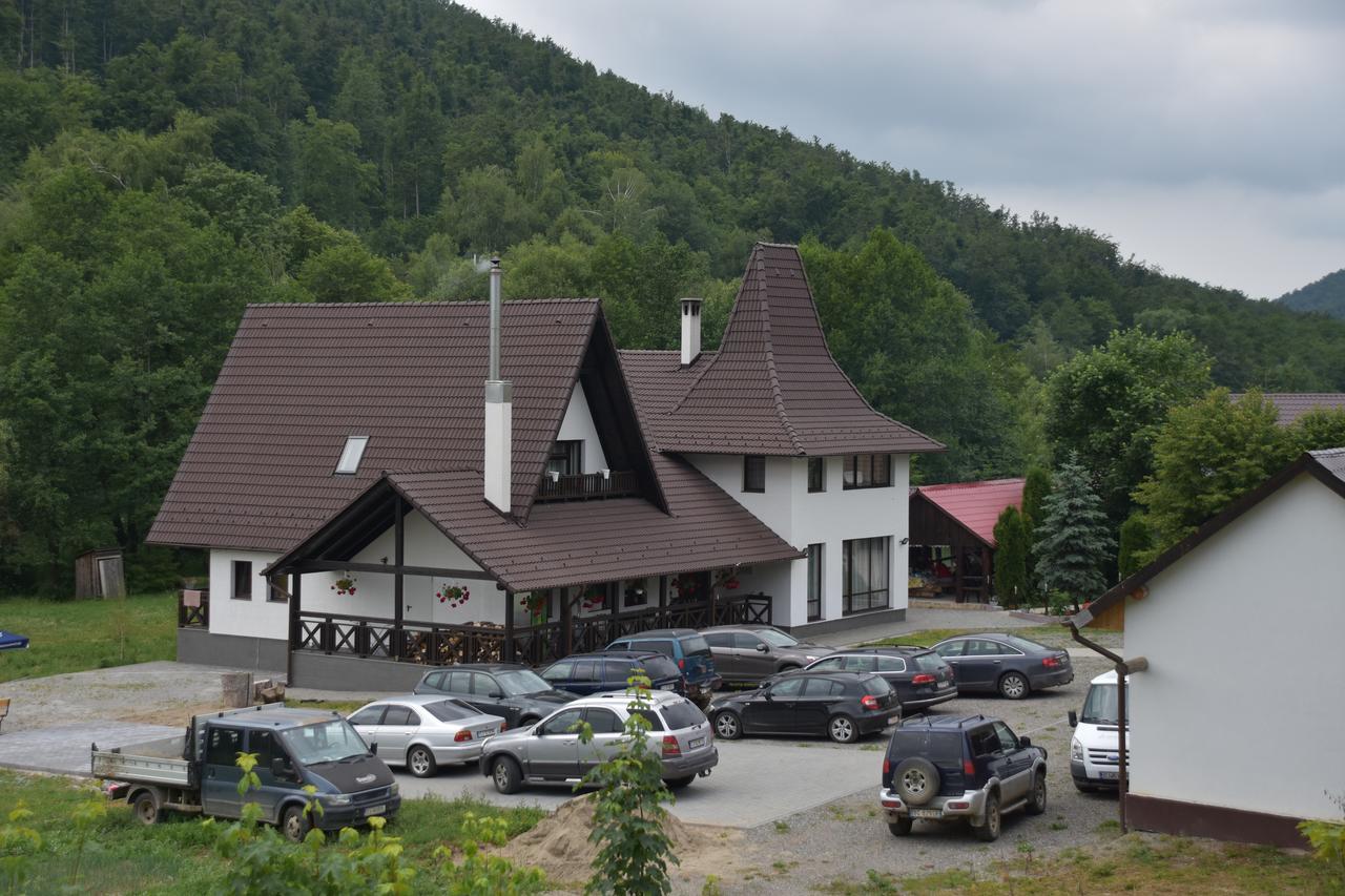 Pensiunea Steaua Nordului Vanatori  Exterior foto