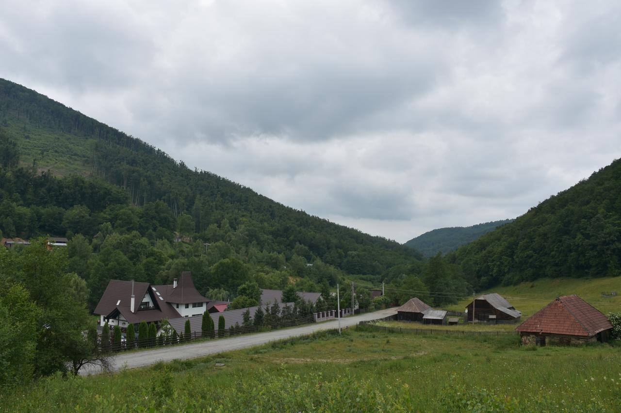 Pensiunea Steaua Nordului Vanatori  Exterior foto